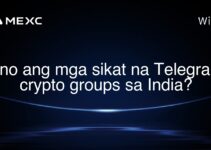 Ano ang mga sikat na Telegram crypto groups sa India?