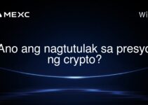 Ano ang nagtutulak sa presyo ng crypto?
