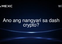 Ano ang nangyari sa dash crypto?