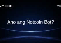 Ano ang Notcoin Bot?