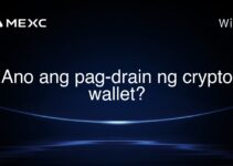 Ano ang pag-drain ng crypto wallet?