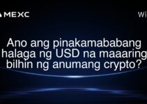 Ano ang pinakamababang halaga ng USD na maaaring bilhin ng anumang crypto?