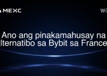 Ano ang pinakamahusay na alternatibo sa Bybit sa France?