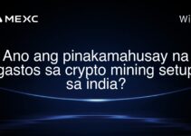 Ano ang pinakamahusay na gastos sa crypto mining setup sa india?