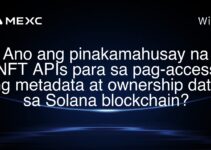 Ano ang pinakamahusay na NFT APIs para sa pag-access ng metadata at ownership data sa Solana blockchain?