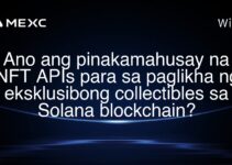 Ano ang pinakamahusay na NFT APIs para sa paglikha ng eksklusibong collectibles sa Solana blockchain?
