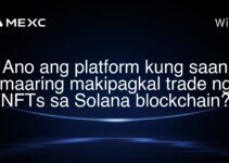 Ano ang platform kung saan maaring makipagkal trade ng NFTs sa Solana blockchain?