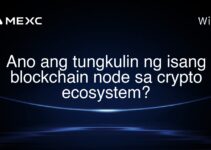 Ano ang tungkulin ng isang blockchain node sa crypto ecosystem?