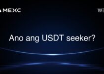 Ano ang USDT seeker?