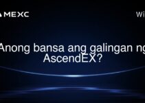 Anong bansa ang galingan ng AscendEX?