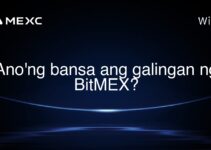Ano’ng bansa ang galingan ng BitMEX?