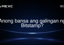 Anong bansa ang galingan ng Bitstamp?