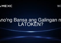 Ano’ng Bansa ang Galingan ng LATOKEN?