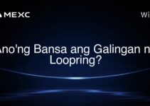 Ano’ng Bansa ang Galingan ng Loopring?