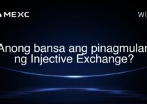 Anong bansa ang pinagmulan ng Injective Exchange?