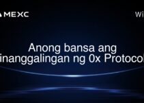 Anong bansa ang pinanggalingan ng 0x Protocol?