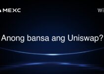 Anong bansa ang Uniswap?
