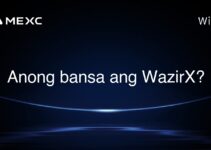 Anong bansa ang WazirX?