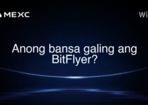Anong bansa galing ang BitFlyer?