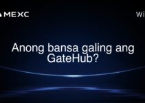 Anong bansa galing ang GateHub?
