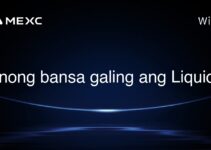 Anong bansa galing ang Liquid?