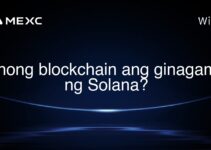 Anong blockchain ang ginagamit ng Solana?