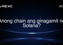 Anong chain ang ginagamit ng Solana?