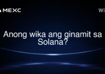 Anong wika ang ginamit sa Solana?