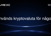 Används kryptovaluta för något?