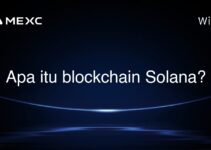 Apa itu blockchain Solana?