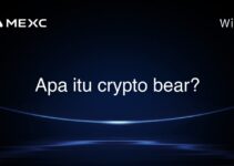 Apa itu crypto bear?