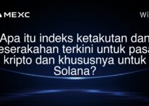 Apa itu indeks ketakutan dan keserakahan terkini untuk pasar kripto dan khususnya untuk Solana?