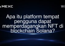 Apa itu platform tempat pengguna dapat memperdagangkan NFT di blockchain Solana?