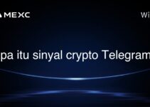 Apa itu sinyal crypto Telegram?