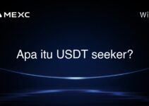 Apa itu USDT seeker?