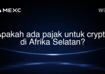 Apakah ada pajak untuk crypto di Afrika Selatan?