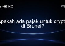 Apakah ada pajak untuk crypto di Brunei?