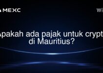 Apakah ada pajak untuk crypto di Mauritius?