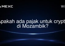 Apakah ada pajak untuk crypto di Mozambik?