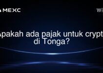 Apakah ada pajak untuk crypto di Tonga?