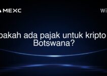 Apakah ada pajak untuk kripto di Botswana?
