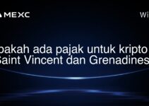 Apakah ada pajak untuk kripto di Saint Vincent dan Grenadines?