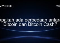 Apakah ada perbedaan antara Bitcoin dan Bitcoin Cash?