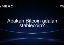Apakah Bitcoin adalah stablecoin?