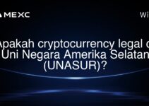 Apakah cryptocurrency legal di Uni Negara Amerika Selatan (UNASUR)?