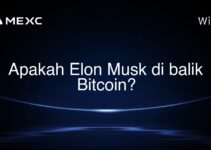 Apakah Elon Musk di balik Bitcoin?