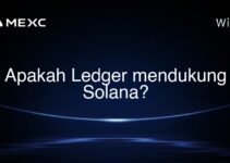 Apakah Ledger mendukung Solana?