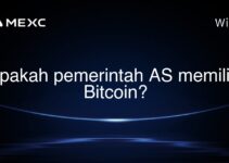 Apakah pemerintah AS memiliki Bitcoin?