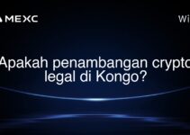 Apakah penambangan crypto legal di Kongo?