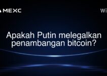 Apakah Putin melegalkan penambangan bitcoin?